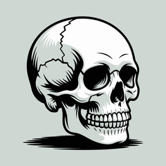 Monochrome vector of human skull, suitable for halloween designs, tattoo art, heavy metal band logos, and gothicthemed graphic projects.