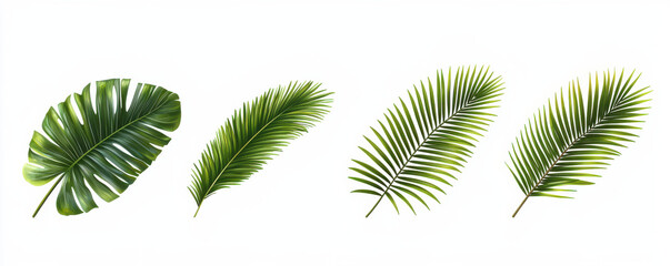 Four different tropical green leaves isolated on white background, showcasing natural textures
