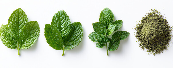 Fresh mint leaves in various stages, from whole to ground powder, displayed on white background