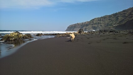 best of canary islands