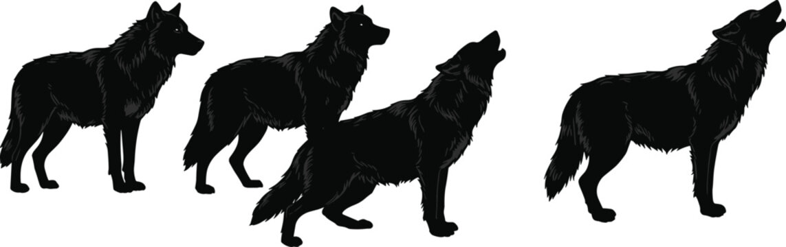 Black wolf silhouette, howling wolf illustration, wild animal pose, forest predator artwork, wildlife vector, canine behavior, nature graphic, alert stance