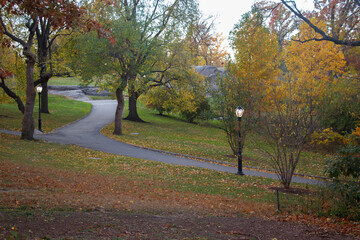 Lush foliage and autumn leaves trees in Central Park, New York City, United States