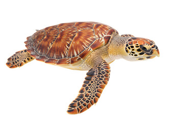 Obraz premium A beautiful sea turtle, isolated on white or transparent background. PNG, perfect for themes of marine life, ocean conservation, and wildlife