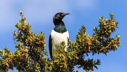 Bird perched in a tree against a clear sky