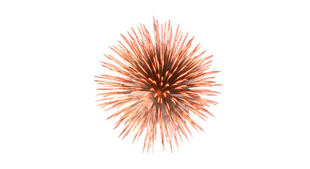 Isolated Orange Fireworks Display on Black Background png clear alpha channel cutout isolated on transparent background