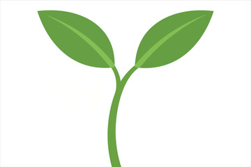 Illustration of a green sprout with two leaves, symbolizing growth, new beginnings, and environmental awareness
