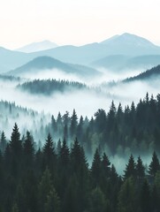 Naklejka premium Misty mountain range with peaks in fog and evergreen forest in foreground 