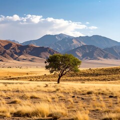 Fototapeta premium Solitary tree in a vast, dry grassland under a clear sky, with mountains in the background