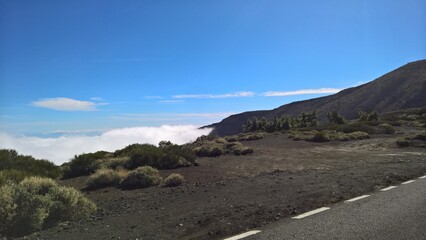 best photos of the  canary islands with tenerife, gran canaria, la palma, la gomera