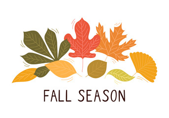 Illustration of fallen leaves from trees in fall season. Ginkgo leaves, maple leaves. A vibrant collection of autumn leaves in various shapes and colors, perfect for seasonal designs. Vector