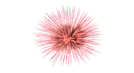 Spectacular Pink Fireworks Display on Black Background png clear alpha channel cutout isolated on transparent background