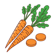 Vibrant hand drawn illustration of fresh orange carrots with green leafy tops and two sliced carrot rounds on a white background for healthy eating and cooking concepts