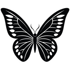 butterfly detailed wings vector icon