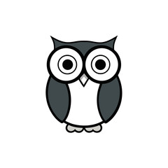 owl on white