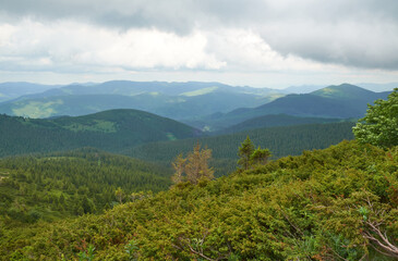 Beautiful Carpathian mountains in Ukraine