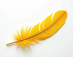 Fototapeta premium Bright yellow feather rests on clean white backdrop. Delicate fluffy barbules softly spread, forming a light airy shape. Simple elegant design element conveys lightness and beauty.