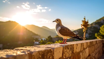 Bird perched on a wall at sunset