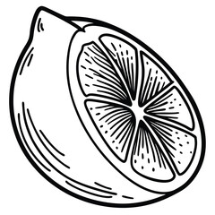 Black and white drawing of a half lemon with visible segments Keywords: lemon, fruit, food