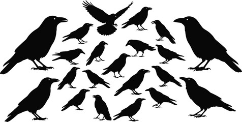 Silhouette, birds, crow, raven, flying, perched, black, white, minimal, wildlife, nature, flock, symmetry, wings, abstract, isolated, eerie, dark, group, composition