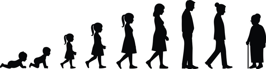 Silhouette, human, life, stages, growth, aging, baby, child, teenager, adult, elderly, profile, evolution, timeline, development, people, age, concept, progression, maturity