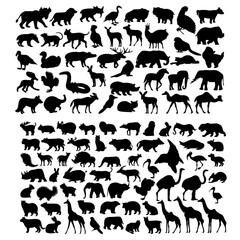 Obraz premium Wild Animal Silhouette Collection – Mammals, Birds, and Wildlife Vector Pack