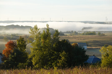 Morning fog bank