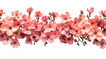Peach Blossoms Floral Border Springtime Ornamental Decorative Botanical Blooming Arrangement Illustration