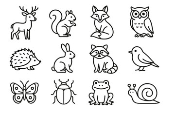Fox beetle butterfly raccoon icon vector rabbit frog hedgehog squirrel forest icons