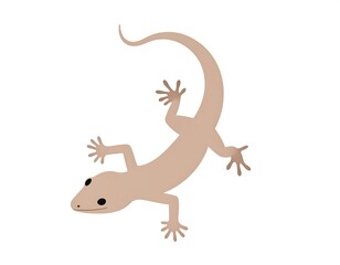 Cute, light beige lizard illustration
