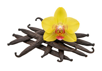 A close-up macro shot of a vibrant yellow orchid with white and reddish-brown spots, resting on textured dark brown vanilla pods against a transparent background, concept of exotic natural elegance