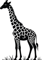Fototapeta premium Giraffe Silhouette with Patterned Body Standing in Grass Vector Image