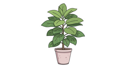 Obraz premium A potted ficus tree with large green leaves in a light pink pot.