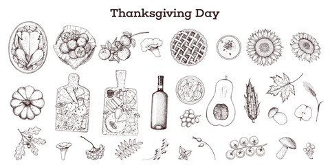 Thanksgiving day sketch collection. Vector illustration. Food hand drawn sketch. Autumn food sketch. Engraved image.