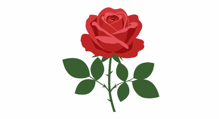 Fototapeta premium A beautiful red rose with green leaves and thorns, representing love, passion, and nature's elegance
