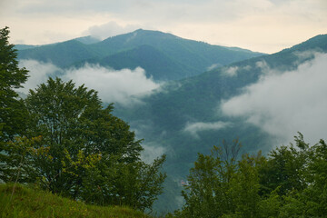 Beautiful Carpathian mountains in Ukraine