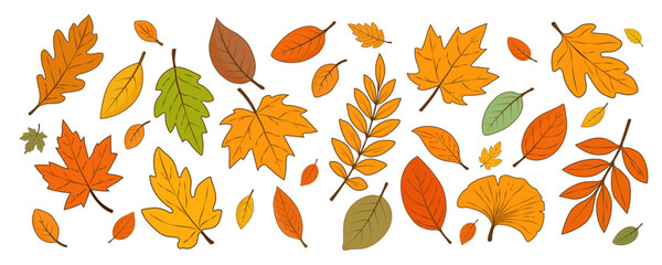 Obraz premium Autumn falling golden, red and orange leaves highlighted on a white background. Seasonal elements for the design. Hello autumn. Vector illustration.