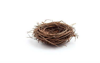 bird nest isolated on white background
