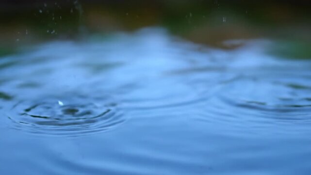 Raindrops gently disrupt the calm surface of a pond in a beautiful shallow depth of field close-up shot nature, patio, moody