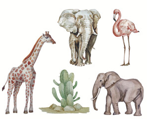 Set animals of Africa