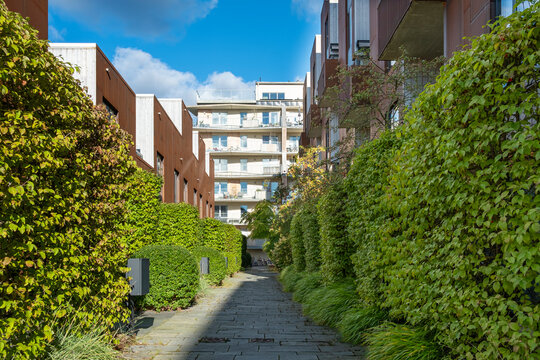 Public courtyards between Stockholm apartments with landscaped greenery, urban design combining sustainable living, Scandinavian aesthetics and future city planning concepts