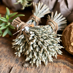 Bundles of dried white sage are used for smudging ceremonies for healing rituals