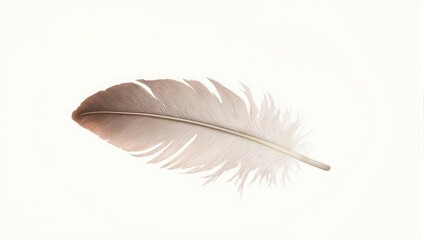 Obraz premium A single feather against a plain white background