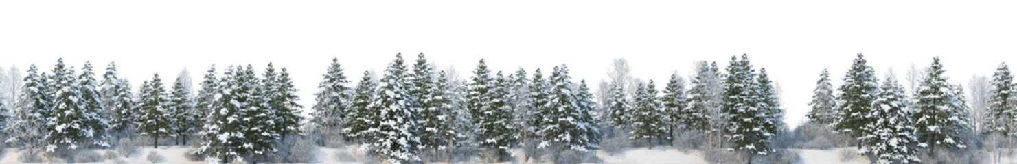 3D render panoramic view of mountains in winter on a transparent background.	