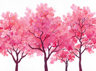 Fototapeta premium Pink blossom trees watercolor painting in full bloom against a white background