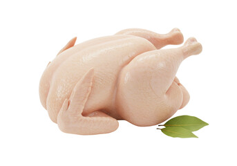 Raw whole chicken isolated on transparent background, uncooked poultry with bay leaves for cooking and holiday meals PNG