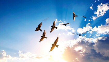 Birds soaring in a vibrant sky