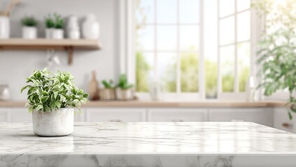 Modern kitchen countertop with plants (1)