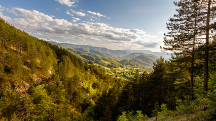Scenic mountain landscape with lush forests under a bright blue sky