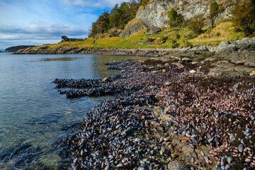 beautiful natural northern shore od the sea