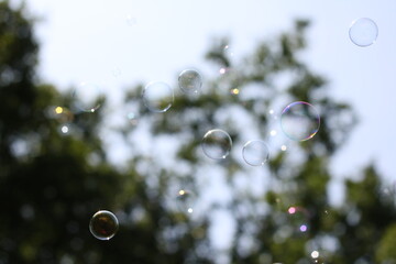 Bubbles